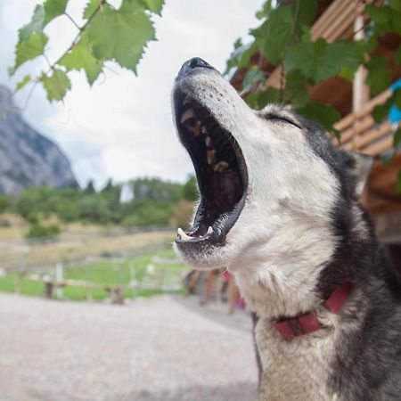 Agriturismo Athabaska San Lorenzo Dorsino Bagian luar foto