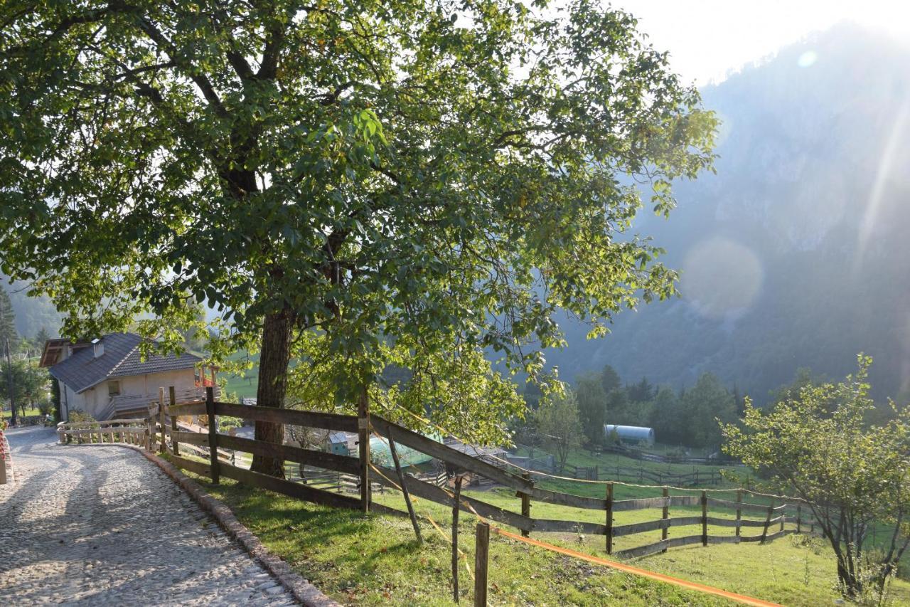Agriturismo Athabaska San Lorenzo Dorsino Bagian luar foto